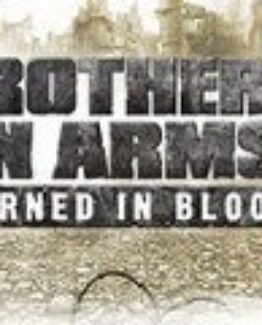 Brothers in Arms: Earned in Blood Steam Gift