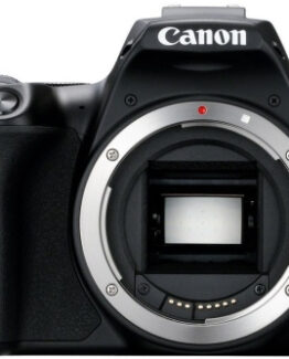 Canon EOS 250D systemkamera, svart + 18-55 IS STM + 50 mm 1,8 STM