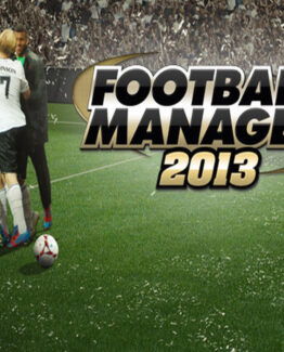 Football Manager 2013 EN/RU Languages Only PC Steam Gift