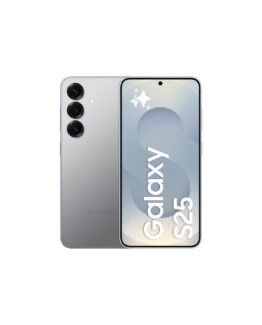 Samsung Galaxy S25 256 GB - Silver Shadow