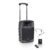 LD Systems Road Buddy 10 bärbar högtalare (480W)