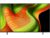 LG 65″ B5 AI 4K OLED Smart TV (2025)