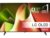 LG 77” OLED B4 4K TV (2024) OLED77B46LA